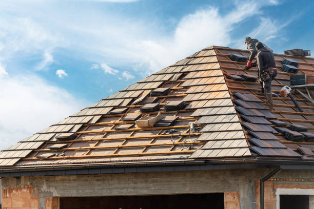 Best Roof Maintenance and Cleaning  in Woodland Park, CO